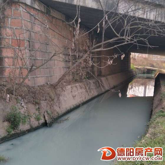 乳白色还有异味沱江东路再现“米汤渠”