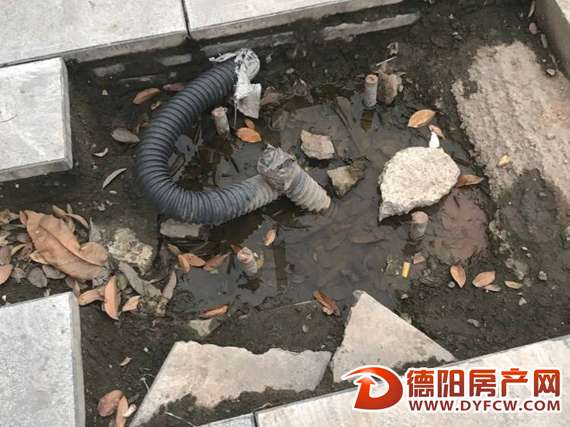 秦岭南路人行道地砖下沉 市民盼修复
