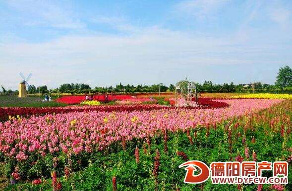 国庆玩乐不用出远门 德阳市区周边任你挑
