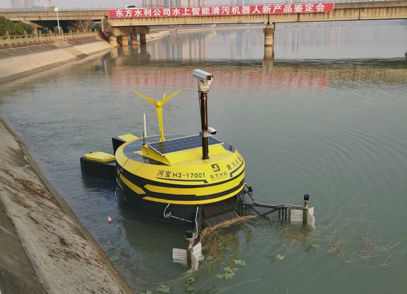 这条“黄金鱼”专吃水里的漂浮垃圾