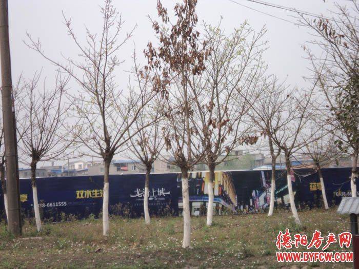 龙湾上城项目正式接受咨询