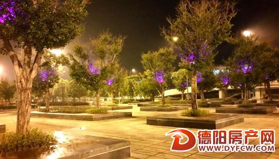 66个树池完成升级改造 城北城际站前广场夜景更美了