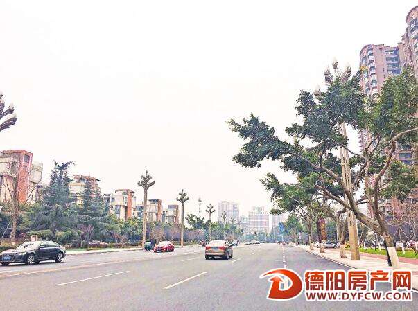 泰山南路(珠江路-金沙江路)提档升级改造即将完工