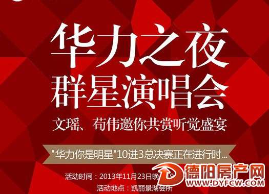11月23日华力房产举办群星演唱会