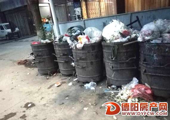 小区垃圾桶摆上街臭气熏天苍蝇乱飞