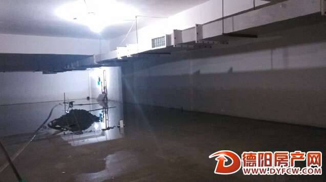都市乐章小区地下车库成“游泳池”