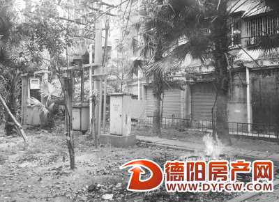 城市花园小区：变压器旁烧垃圾，谁这么大胆？