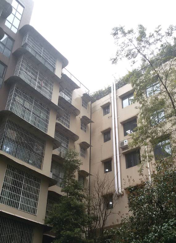 顺兴苑小区：10多米长的排烟管外挂楼上住户没法开窗透气