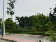 青年沸城
