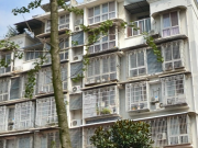 东屏小区