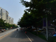 锦绣珠江
